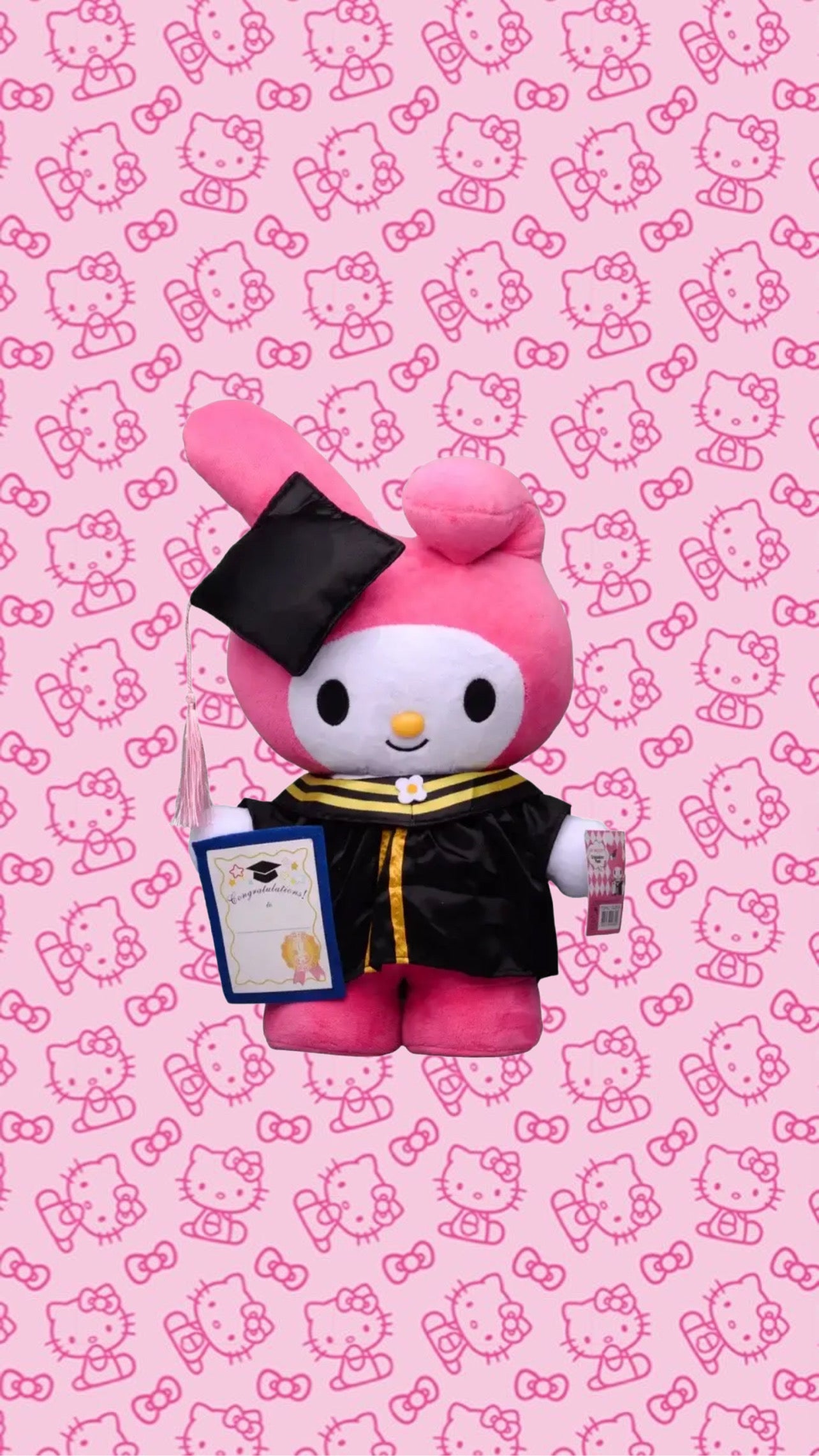 Graduation plushies